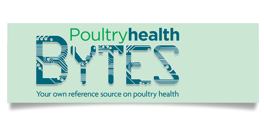 Poutry Health Bytes Logo
